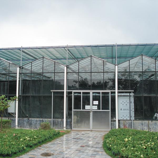 Advanced Glass Modern Greenhouse For Optimal Light Transmission And Heat