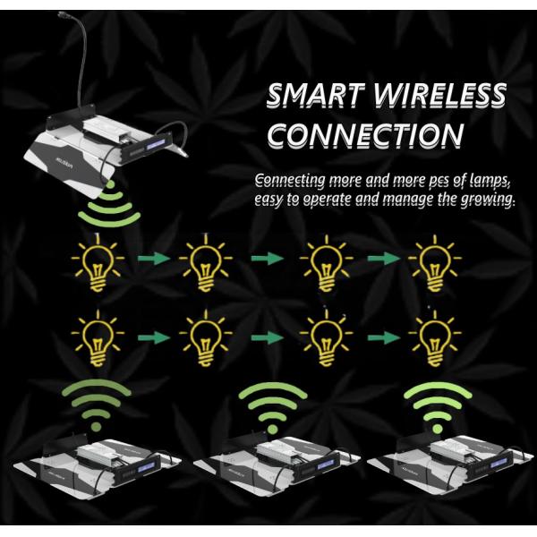 Оксфордская ткань 600D Mylar 80x80x160CM Растительная палатка Полный комплект Легкая установка