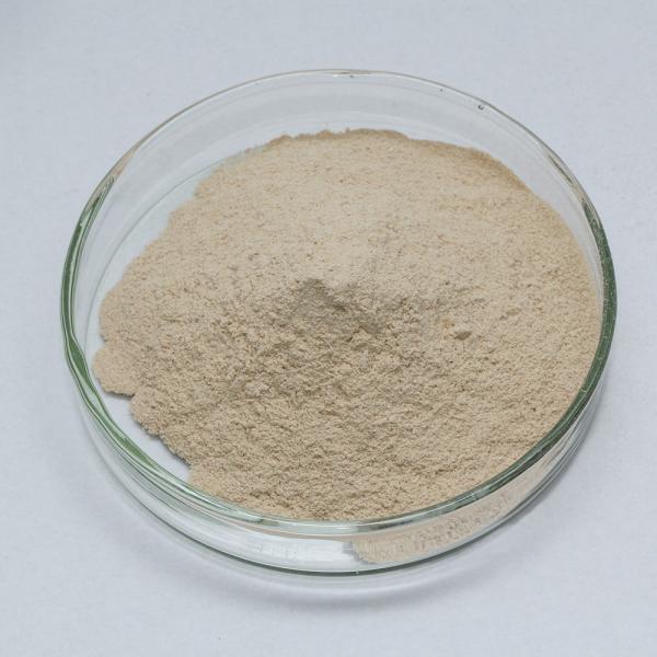 Alkaline Protease Enzyme 50000u/g-1500000u/g Protease Manufacturer Providing Enzyme Preparation Sample Minimum Order 1kg