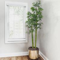 Das plantas em pasta artificiais de bambu do assoalho da Buda aterrissagem interna decorativa