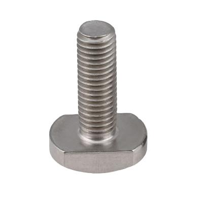 os parafusos de aço inoxidável do entalhe do prendedor M10 304 T, 20-60mm t deram forma aos parafusos