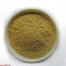 GMP Stainless Steel Grinding Machine