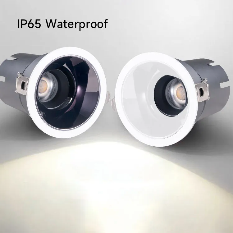 IP65 0-10V 2700K-6000K Tunable Triac Dali-2/Dali Dt6 Dt8 Waterproof LED Down Light for Bathroom