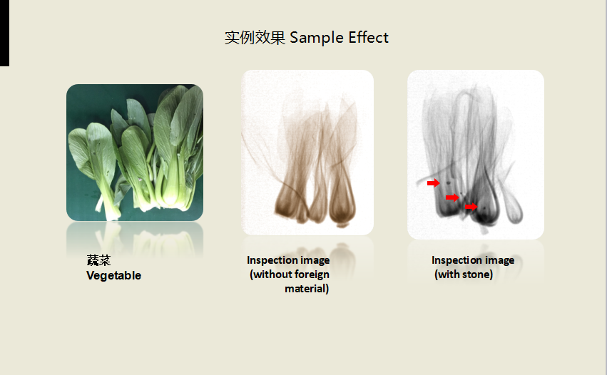 Металлоискатель рентгеновского снимка материала гайки конфеты косточек рыб еды