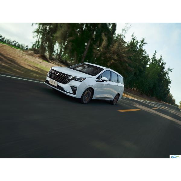 Ride-On Electrical EV Passenger Car The Perfect Combination of Comfort and Efficiency