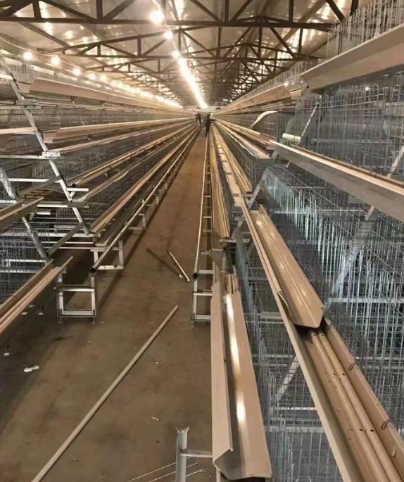 Hot-Dip Galvanized Steel Automatic Chicken Cage with 15-20 Year Lifespan and Automated Feeding System