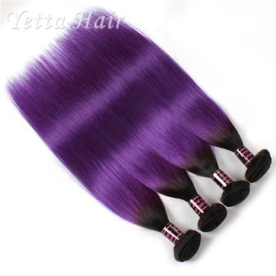 Extensões do cabelo do Virgin do tom 8A do roxo dois de Ombre sem o produto químico