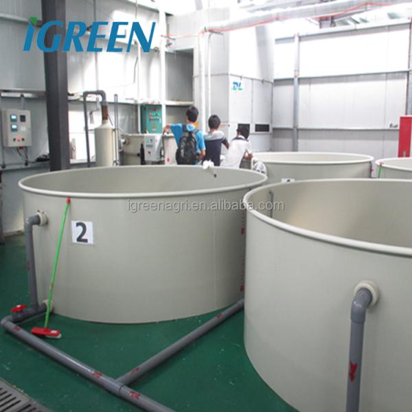 Indoor Fish & Shrimp Recirculating Aquaculture System IGreen IGRAS Model 15-300cbm/h Capacity