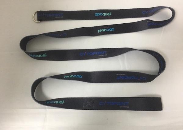2000X15mm Polyester Rope Dog Leash Metal Silver Plated D Ring Cute Pet Supplies