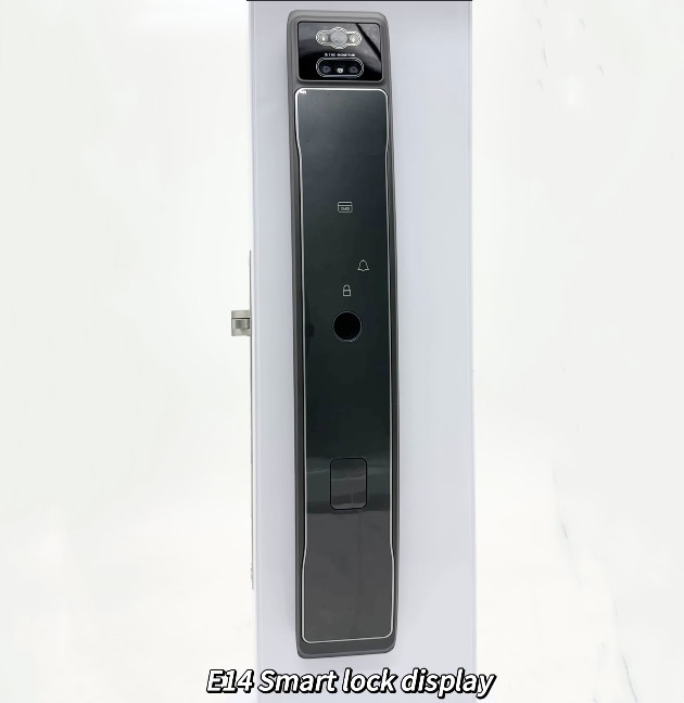 Tuya App Remote Unlock Wifi Digital Smart Lock Камера Видео Интерком Лицо Отпечаток пальца Умный замок Пальмовая вена Карта Ключевой замок