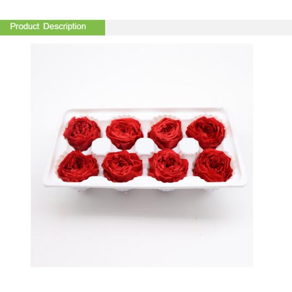 4-5cm Austin Flower Rose Head Preserved Long Lasting Eternal Rose For Wedding Decoration