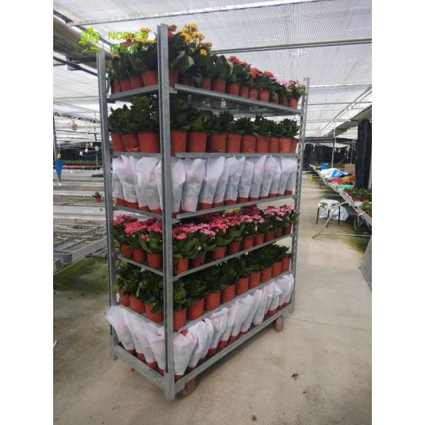 Indoor Flower Display Danish Flower Trolley Natural Wood Finish Loading Capacity 40KG shelf Ideal for Commercial and Retail Spaces