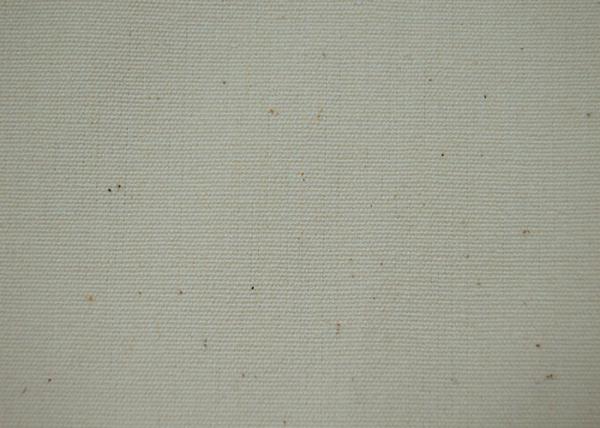 Pure Organic Cotton Canvas / Plain Woven Fabric Natural Fiber For Garment