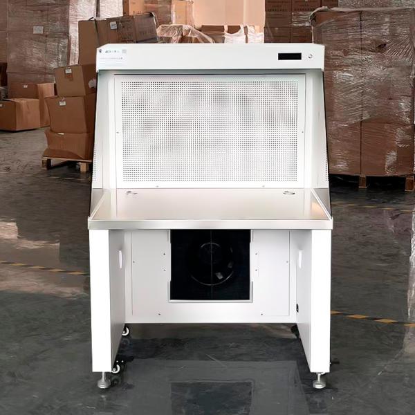 SUS 304 Horizontal Laminar Air Flow Cabinet with Class100-10000 Customized Cleanliness and 0.45m/S Air Velocity
