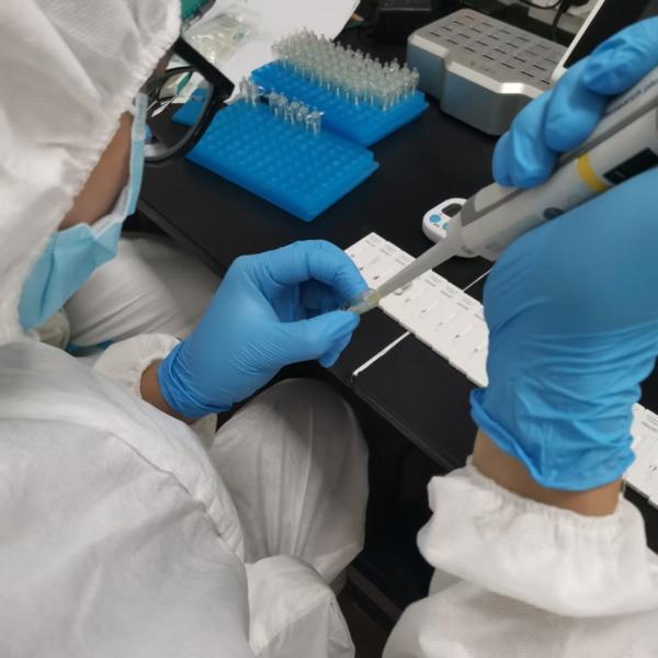 Home Use POCT Covid-19 Antigen Rapid Swab Rapid Test Kit