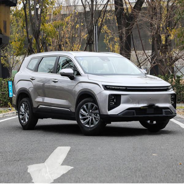 2024Hot sale EV Electric Vehicle Rui LAN 9 2023 leading version Mid-size SUV
