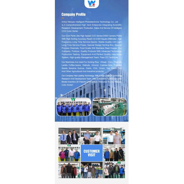 Color óptico del clasificador del color del arroz del CCD Carame de Wenyao que clasifica la máquina negra del clasificador del color del arroz