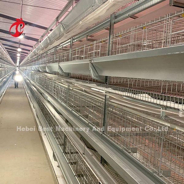 Hot Dip Galvanized Poultry Cage System White Layer Farm Bird Housing Adela