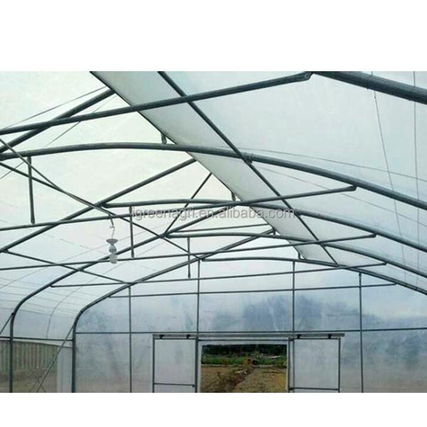 Film Covered Greenhouse Hydroponics System Agricultural DWC Hydroponics System