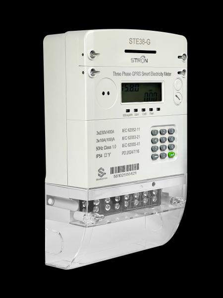 Accurate Energy Monitoring with 220V Electric Smart Meter and Wired/Wireless Communication
