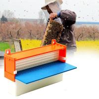 Armadilha plástica do pólen da abelha do coletor do pólen dos equipamentos da apicultura