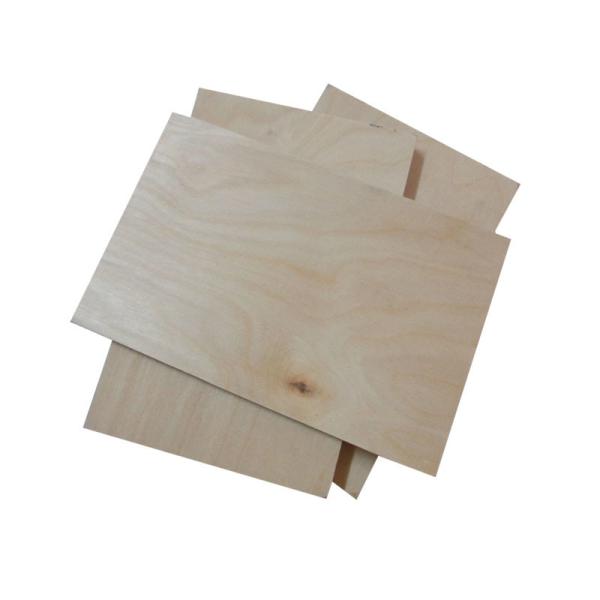 Full Poplar Core E0 Glue CARB  Birch Faced Plywood