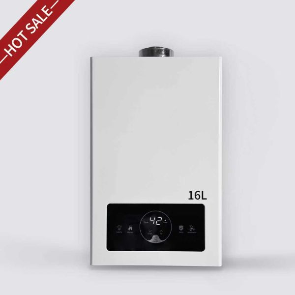 Balanced Type Natural Gas Water Heater Energy Saving Safe Stable Combustion Modern Design