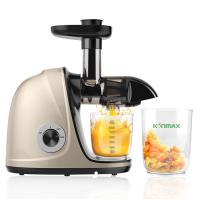 Presse froide de vis de légume fruit mastiquant Juice Extractor Filter Free Electric
