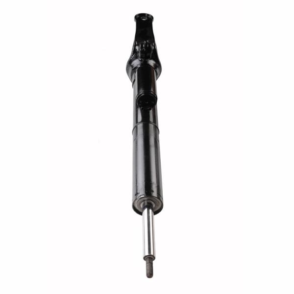 Germany Auto Parts Air Suspension System 2513200730 Air Suspension Strut
