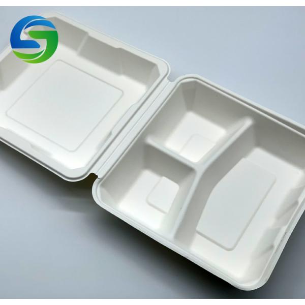 9 Inch 3 Compartment Biodegradable Takeout Food Containers