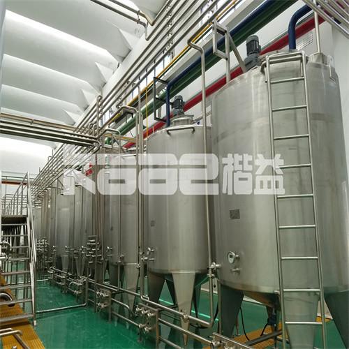 Industrial Strawberry Blueberry Raspberry Wolfberry Making Machine Processing Line