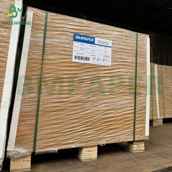 PET Ovenable Paperboard with Special Coating for Frozen Food Packaging