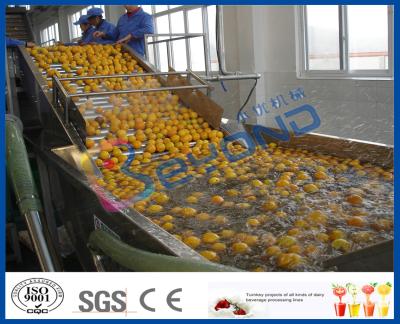 Frutas e legumes do deslocamento de Stepless que processam o dispositivo, máquina da arruela das frutas e legumes