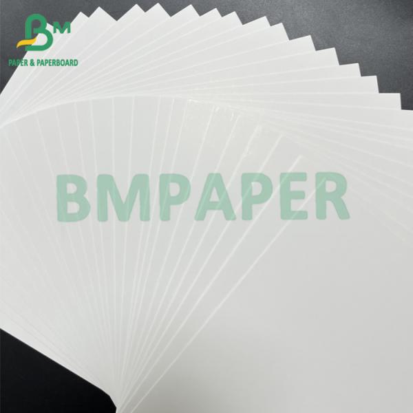 250gsm Food Grade GC1 One Side Coated Board For Food Packaging