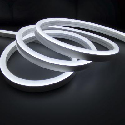 SMD5050 diodo emissor de luz Flex Light de néon 12V 24V IP67 impermeável para a decoração