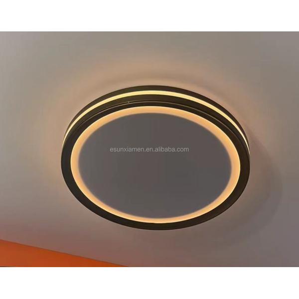 5CCT 2000K Night Light Modern Dome Light LED Ceiling Lamp 10in/13in/15in for Home Lighting