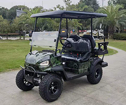 Electric Golf Cart with 2 Seater Lake Horse Transaxle Front LED Headlight