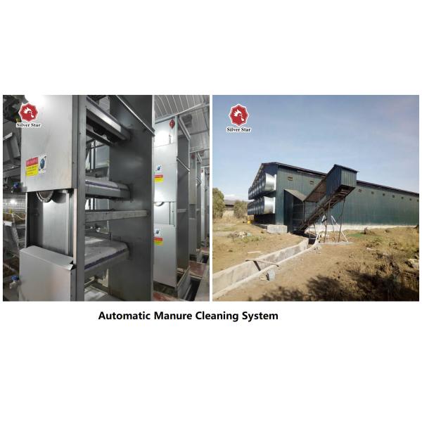 Тип автоматическая система h клетки слоя, клетка цыпленка яруса 450cm2/Bird Q235 4