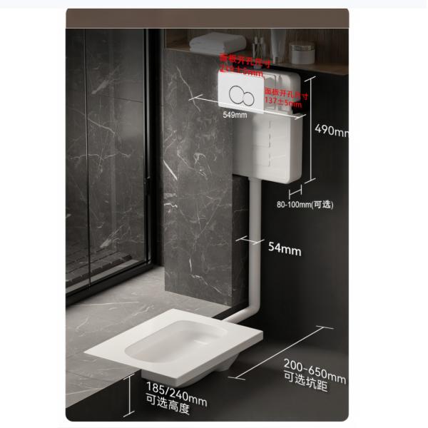 Traditional Style 680x370x830mm One Piece Toilet with Concealed Tank and Auto Open