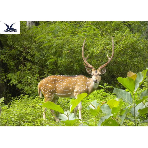 High Simulation Realistic Animatronic Animals Deer Outdoor Theme Park Decoration