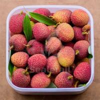 Stainless Steel Modified Atmosphere Packaging Machine For Fresh Litchi