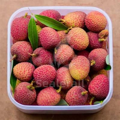 Stainless Steel Modified Atmosphere Packaging Equipment For Fresh Litchi