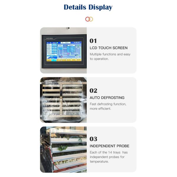 Multi-Function Lab Commercial Vegetable Snack 60KG Vacuum Freeze Dryer Lyophilizer Machine