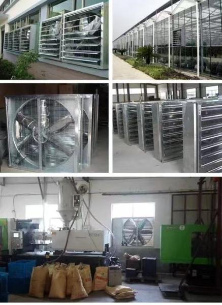 Qingzhou Factory 1380mm Box Fan Poultry Chicken Farm Industrial Axial Flow Industrial Ventilation Exhaust Fan