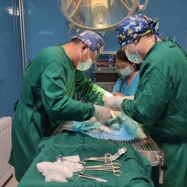 Animal Anesthesia Machine Medical Equipment Equipment Icu Surgical Anesthesia Machine