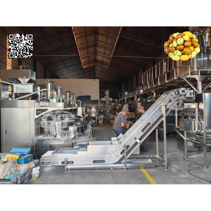 High-performance Automatic Coating Machine for Uniform Liquid & Powder Coating on Peanuts and Snacks