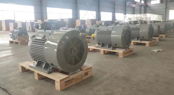 0.75kW-375kW IE4 Asynchronous Motor Three Phase AC Asynchronous Motor IP55 IP56 IP65