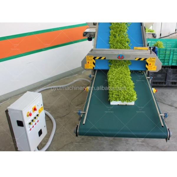 Food Shop Wheat/Barley Bean Sprouts Harvester on Aquaponics Microgreens Fixed Station