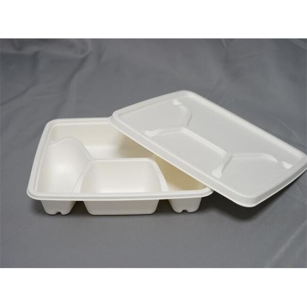 4 plats biodégradables de canne à sucre de compartiment