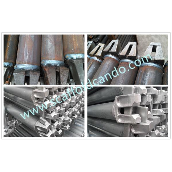 Scaffold ringlock ledger hot dip galvanized Q235 steel ledger horizontal 900mm 1200mm 1500mm 1800mmL for  ringlock